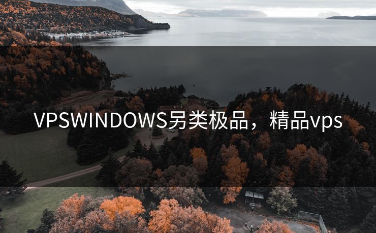 VPSWINDOWS另类极品，精品vps