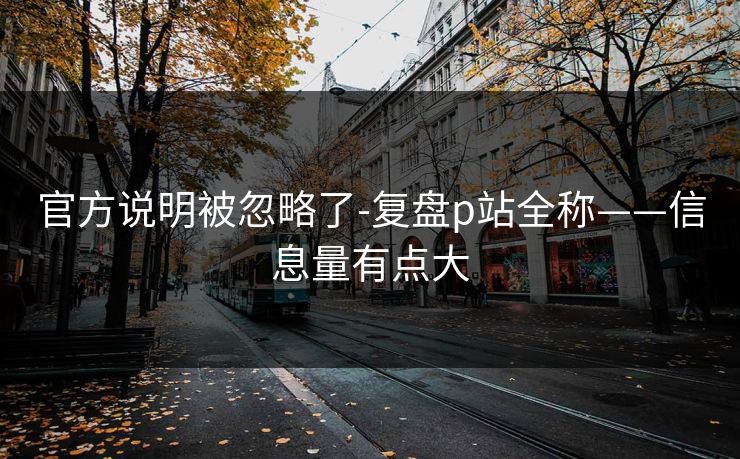 官方说明被忽略了-复盘p站全称——信息量有点大 官方说明被忽略了-复盘p站全称——信息量有点大